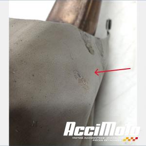 Ligne d'échappement complète APRILIA RS 660