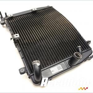 Radiateur de refroidissement APRILIA RS 660