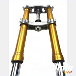 Fourche complète APRILIA RS 660