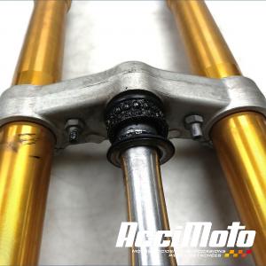 Fourche complète APRILIA RS 660
