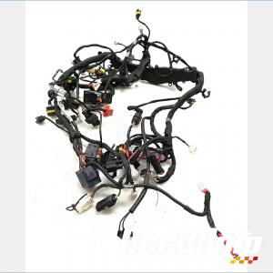 Faisceau &eacute;lectrique (principal) APRILIA RS 660
