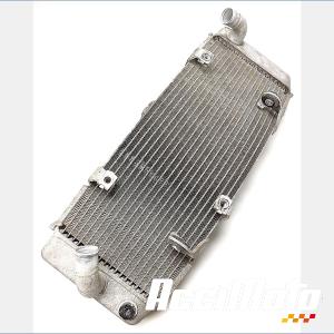 Radiateur de refroidissement YAMAHA TMAX XP500
