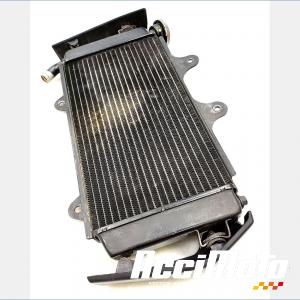 Radiateur de refroidissement KTM 390 DUKE