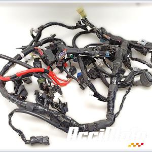 Main wiring YAMAHA MT-09