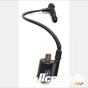 BOBINE GAUCHE HONDA XADV 750