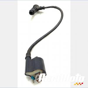 BOBINE GAUCHE HONDA XADV 750