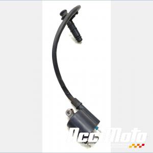 BOBINE DROITE HONDA XADV 750