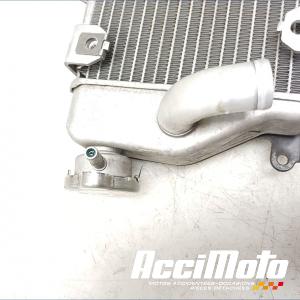 RADIATEUR REFROIDISSEMENT D HONDA AFRICA TWIN 1100 ADVENTURE SPORT 