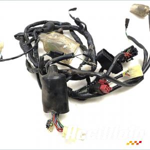 Faisceau électrique (principal) HONDA VARADERO XL125V