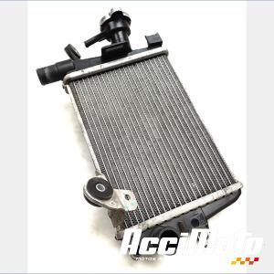 RADIATEUR REFROIDISSEMENT D BMW R1250 RT