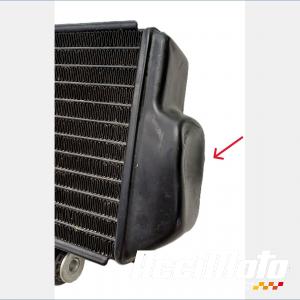 Radiateur de refroidissement ZONTES SCRAMBLER 125