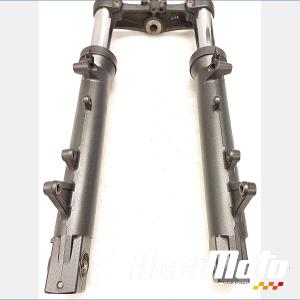 Fourche complète SUZUKI BANDIT GSF650N