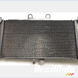 Water-cooling radiator SUZUKI BANDIT GSF650N