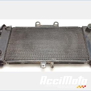Radiateur de refroidissement SUZUKI BANDIT GSF650N