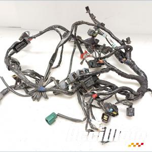 Faisceau &eacute;lectrique (principal) TRIUMPH STREET TRIPLE 675