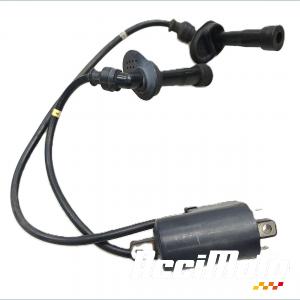 Bobine d'allumage (1/4) SUZUKI BANDIT GSF1200S