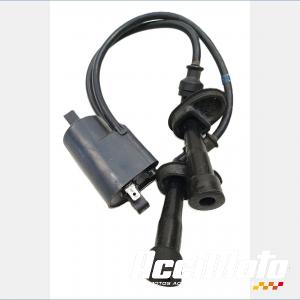 Bobine d'allumage (2/3) SUZUKI BANDIT GSF1200S