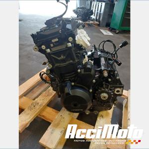 Moteur CF MOTO NK 800