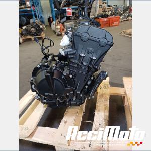 Moteur CF MOTO NK 800
