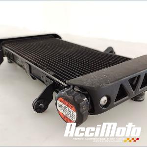 Radiateur de refroidissement SUZUKI SV 650N