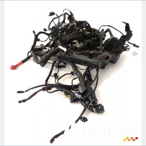 Faisceau &eacute;lectrique (principal) BMW R1300 GS
