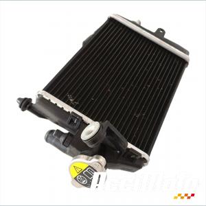 RADIATEUR REFROIDISSEMENT D BMW R1300 GS
