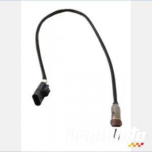 Sonde lambda BMW R1300 GS