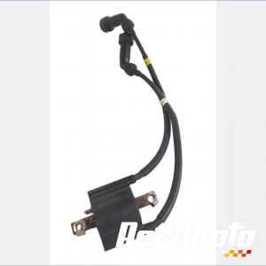 Bobine d'allumage (1/4) YAMAHA XJR 1200
