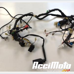 Main wiring YAMAHA R1 YZF1000