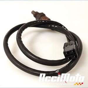 Sonde lambda YAMAHA XSR 700