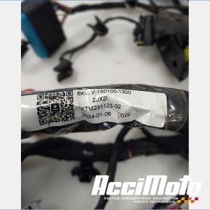 Faisceau électrique (principal) CF MOTO NK 800