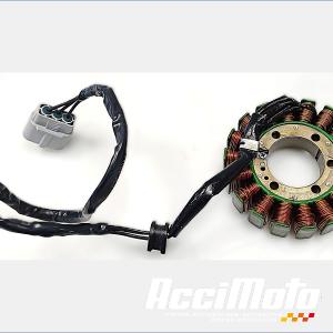 Stator d'alternateur CF MOTO NK 800