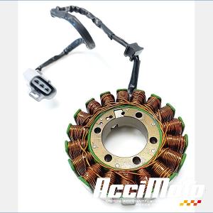 Stator d'alternateur CF MOTO NK 800