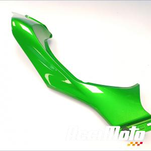 Coque arrière (droite) KAWASAKI Z 1000