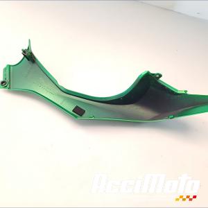 Coque arrière (droite) KAWASAKI Z 1000