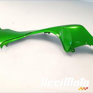 Coque arrière (droite) KAWASAKI Z 1000