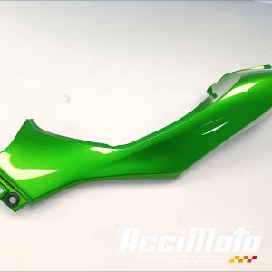 Coque arrière (gauche) KAWASAKI Z 1000
