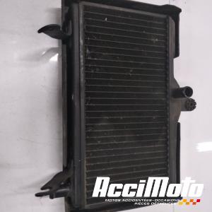 Radiateur de refroidissement HONDA NSR125