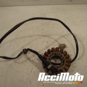 Stator d'alternateur DUCATI MONSTER S4 916