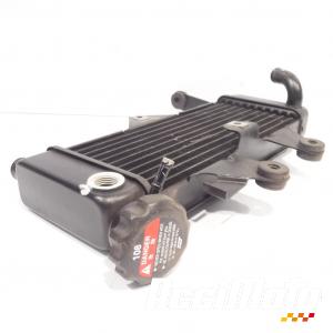 Radiateur de refroidissement HONDA VARADERO XL125V