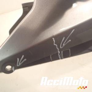 Coque arrière de carénage HONDA CBR1100XX