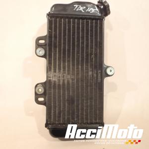 Radiateur de refroidissement YAMAHA TDR 125