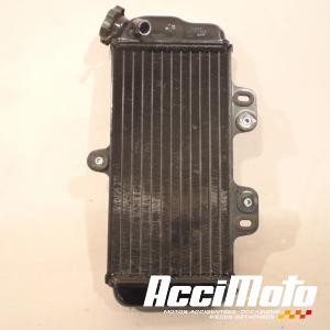 Radiateur de refroidissement YAMAHA TDR 125