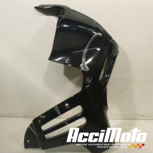 Flanc  de carénage avant (droit) TRIUMPH TIGER 885