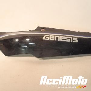 Coque arrière (gauche) YAMAHA FZR 600