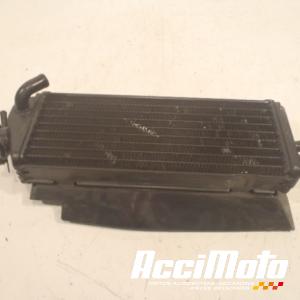 Radiateur de refroidissement YAMAHA DTR 125