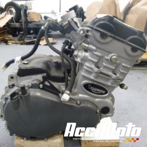 Moteur TRIUMPH SPRINT 955 RS