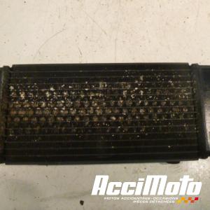 Radiateur de refroidissement HONDA SHADOW VT600C