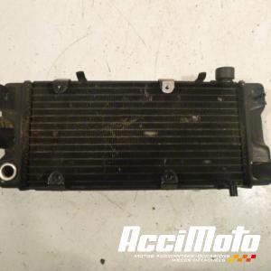 Radiateur de refroidissement HONDA SHADOW VT600C