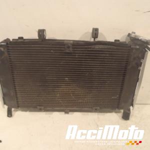 Radiateur de refroidissement YAMAHA FZ6 N